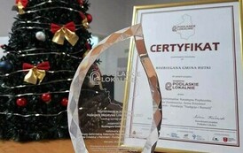 Certyfikat i statuetka na tle choinki