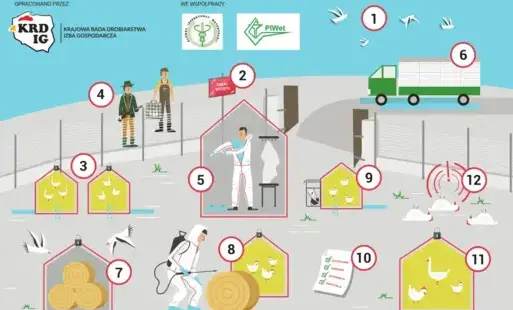 Zdjęcie artykułu z dnia 03-11-2025