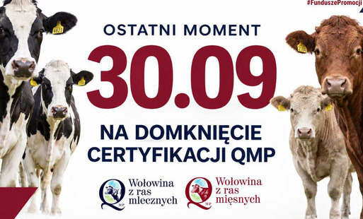 Zdjęcie do Certyfikat QMP &mdash; termin uzyskania upływa 30 września 2026 r.