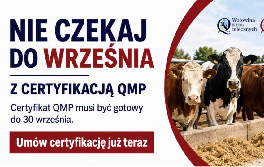Zdjęcie artykułu z dnia 06-08-2026