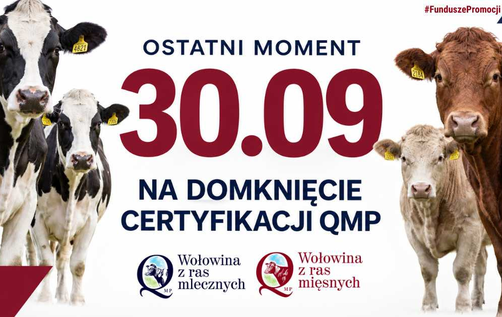 Zdjęcie artykułu z dnia 25-09-2026